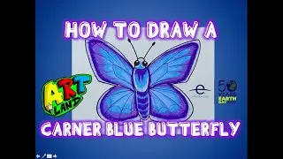 How to Draw a CARNER BLUE BUTTERFLY