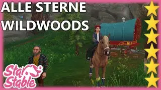 All Stars Wildwoods (2025) - Star Stable Online