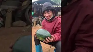 Hihi 🤣🤣#funny #hmoob #comedy #hai #haihuoc
