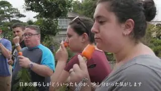 Ohtawara Farm Stay - Tochigi, Japan (Ohtawara tourism 大田原の農家民泊)