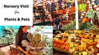 Plant Nursery Nearby | Plants with prices| e URBAN ORGANIC GARDEN
