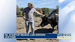 Leather without livestock: No slaughter required for lab-grown wallet