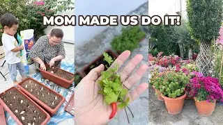 We Finally Planted Our Garden 🌱 | Family Life in Abu Dhabi | Mom Vlog
