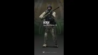 Mr.Falcon came back to set csgo straight