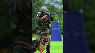RVC - Remount Veterinary Corps