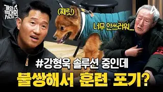 [#클립배송] 강형욱 솔루션 중인데… “불쌍해서 못 하겠어요” 보호자의 훈련 포기 선언?! | 개와 늑대의 시간2 2회