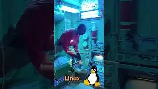Интересные факты с Мэттом Лоуном