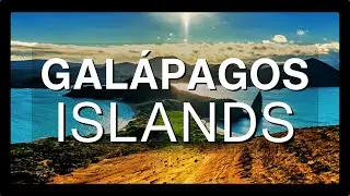 Best Way to Travel the Gal&aacute;pagos Islands #travelguide2024