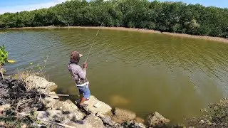 Mullet Fishing: A Harvest of the People's Fish: Fun Fishing Trip Indonesia