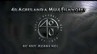 RadicalMedia/40 Acres and a Mule Filmworks/HBO (2020)