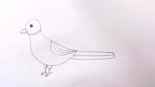 How to draw a pigeon 🐦| Simple and easy drawings for kids | Step by step drawings for kids |