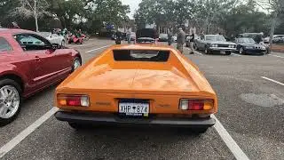 Idle Threats?  DeTomaso vs C8 Corvette vs Mustang w/Cobra 5.0 Engine #corvette #detomaso #fordcobra