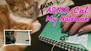 ASMR Cat: My Notebook (long nails tapping/page turning/writing/drawing) [no talking] [Requested]