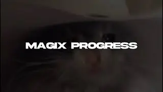 MagiX 2016 vs MagiX 2021 by Frola