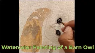 How to Paint a Barn Owl in Watercolor | Easy Step by Step Tutorial