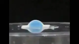 Body-Shaping Membrane to Regenerate Breast Fat by Elastic Structural Holding Movie 5