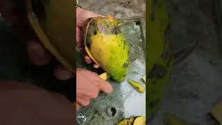 mango #mango #mangobag #cutmango #fruit #shortsvideo