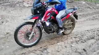 SHINERAY X-TRAIL 200... Карпати