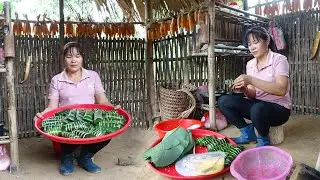Wrap cakes from rice and dong leaves go to sell at the market, alone living with nature