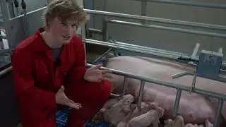 Studenten Aeres Hogeschool Dronten kiezen voor WellFarrowing