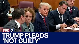 Former President Donald Trump arraigned