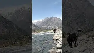 Gilgit River ❤️❤️ jis me nahane ka maza hi kuch alag he #mountains #nature #travel