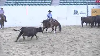 METALLIC CHECKS 5:3:25
