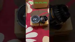 Test Mộc, Loa Bass 20 Neo Hiwell, Model : 8NDF75C1, hai tầng coil 75 nh&ocirc;m dẹt #loa #bass20 #shorts