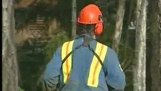 Island Timberlands Plans to Log on Cortes Island Meeting Strong Resistance