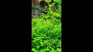 Bushkill the best place