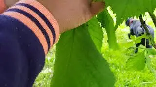 Mindful spring outdoor leaf activity: