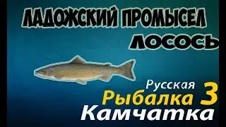 Русская Рыбалка 3.99 &mdash;Ладожский промысел (Лосось)