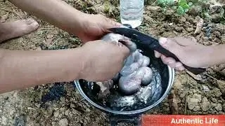 Cooking and Eating in Paddy field Razaphe Dimapur.