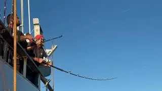 Kite fishing on the Shogun