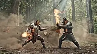 CAT VS DOG WARRIOR - AI GOOGLE