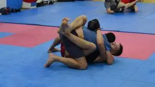 FIGHTMASTERS