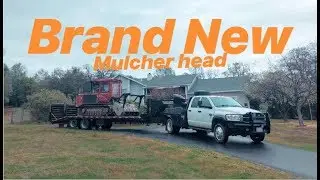 Foresty Mulching over grown Grease Wood bush. LAMTRAC 6125 FAE MULCHER HEAD
