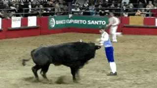 Jumping Over Bulls - Recortadores in Canada