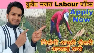 Kuwait mujra labour good salary job, 2022 Kuwait new vecancy Majra, very urgent requirement Kuwait
