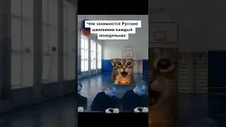 теперь здесь будут видео с меллстроем.