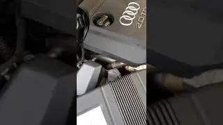 Rumore audi b7 2.0 170cv