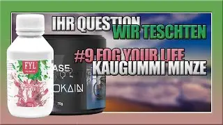 Ihr Question wir Teschten #9 | FYL Kaugummi Minze