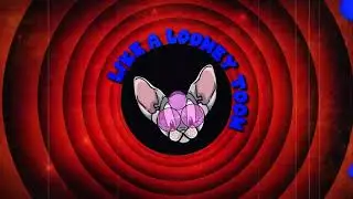 TIMMS Looney Toons Lyric Video