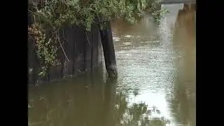 Hutchison Frequencies BP Oil Disaster--Indian Creek