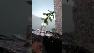 vivo X70 Pro Slow motion Test