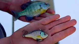 Fishing with Hyper Realistic Baits! Matching the Hatch