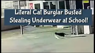В школе поймали вора-домушника, который крал нижнее белье!