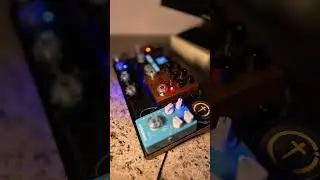 Pedalbord compacto: blackbox + pure sky + Myth of tones #music #blackbox #mvave