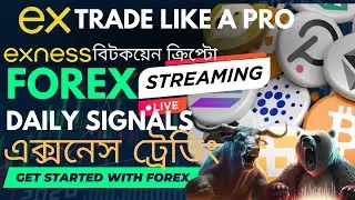 এক্সনেস লাইভ ট্রেডিং BITCOIN Live trades