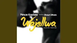 Wajellwa (Radio Edit)